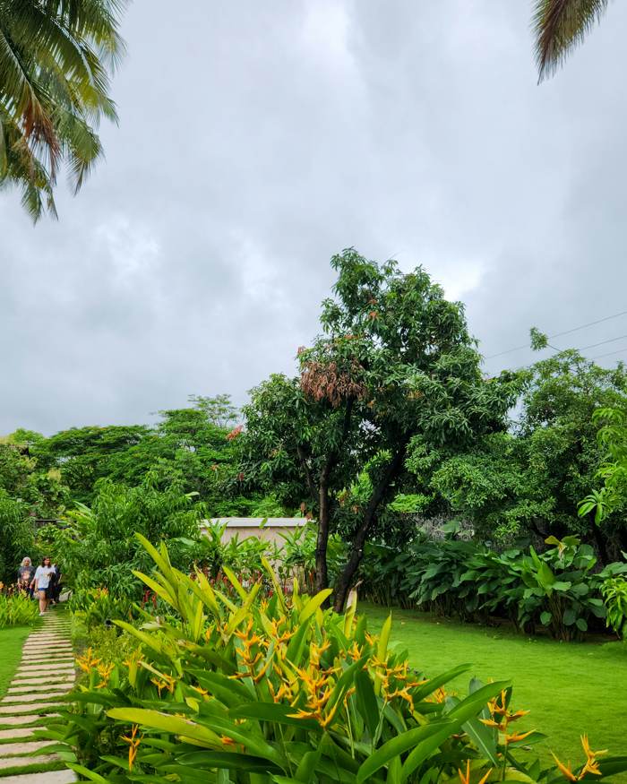 Garden renovation by ACS